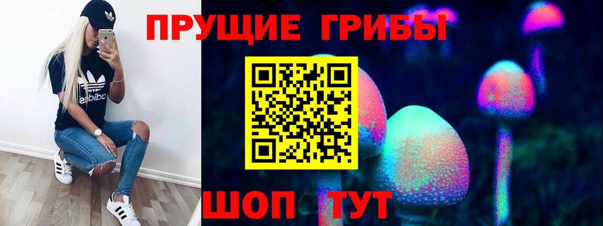 Кунгур  Псилоцибиновые грибы Psilocybine cubensis  Вход с VPN 